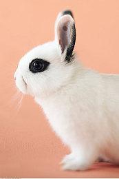 Shroud参与开发 创新FPS《Spectre Divide》9月4日发售